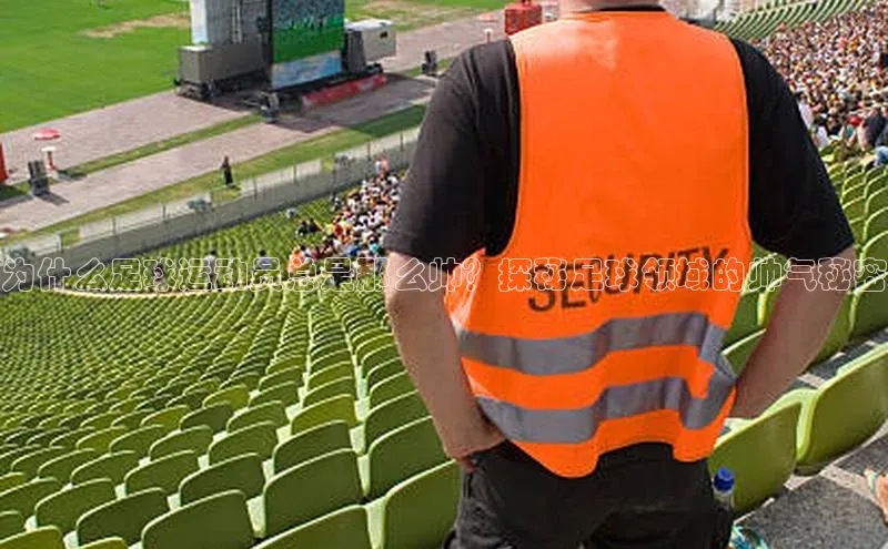 意昂体育4代理赛富乐斯