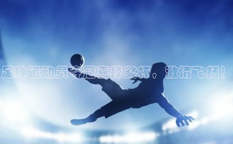 EON4代理百度手机卫士