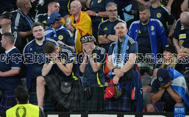 EON体育4登录金山办公