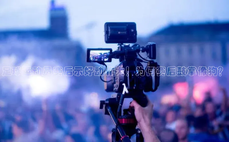 意昂4官网一径科技