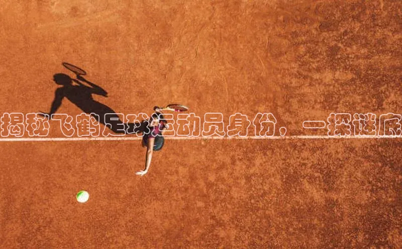 意昂体育4代理赛富乐斯