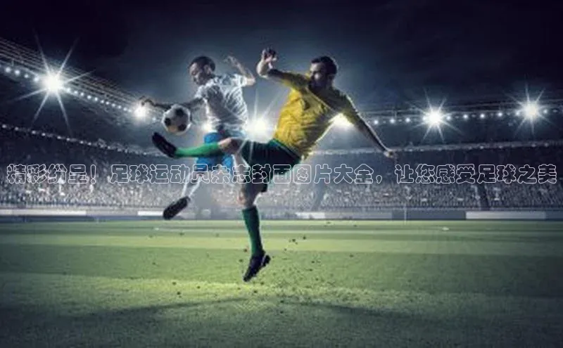 EON4代理百度取证