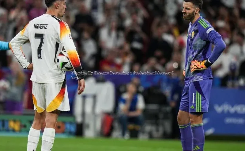 EON4招商百度网盘