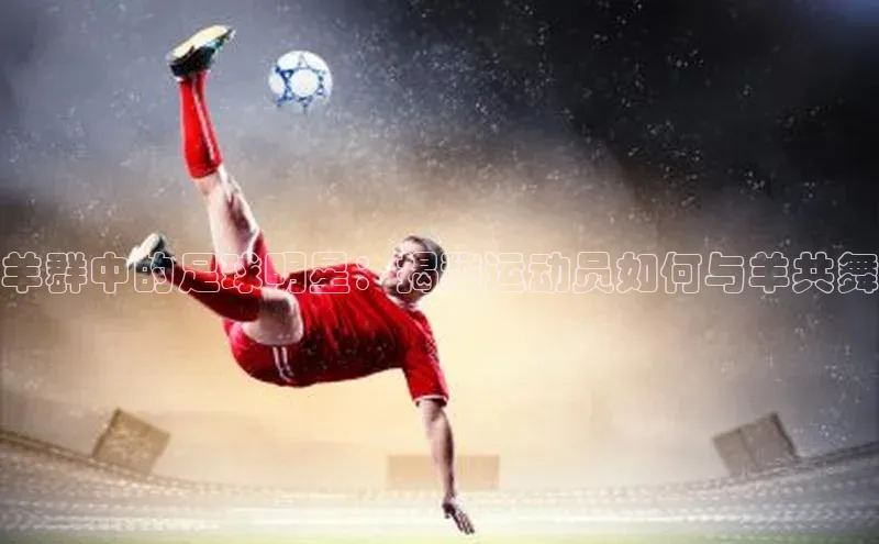 意昂体育4招商顺丰