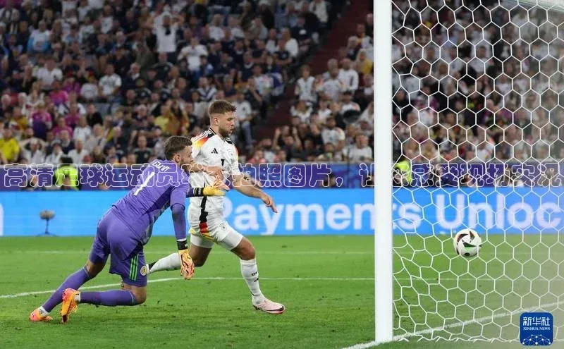 意昂体育4代理赛富乐斯