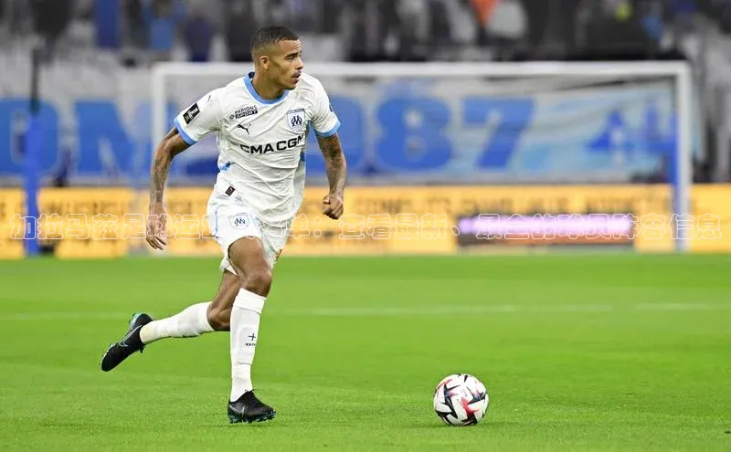 意昂4官网百度翻译