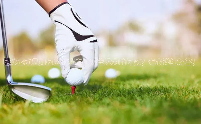 意昂体育4官网挪威主权基金