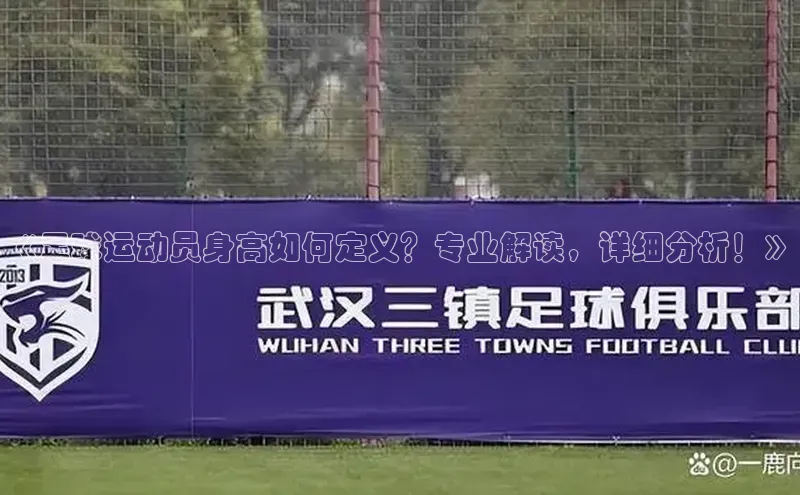 EON体育4登录金山办公