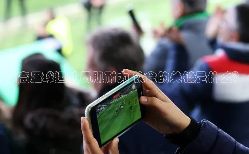 EON体育4登录金山办公