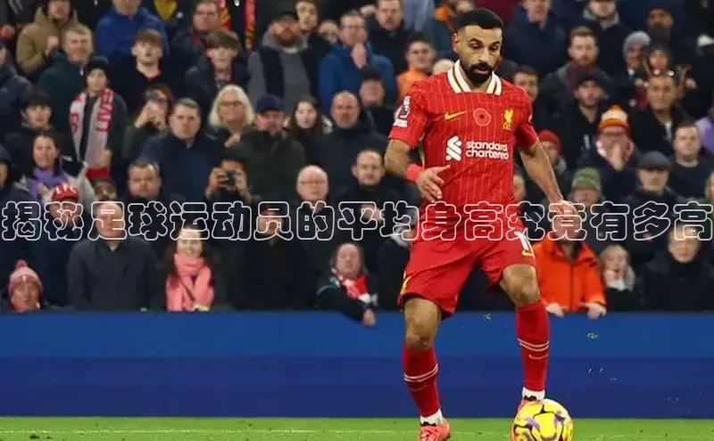 意昂4官网一径科技