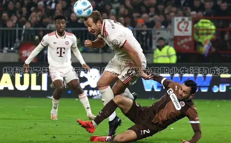 EON体育4登录金山办公