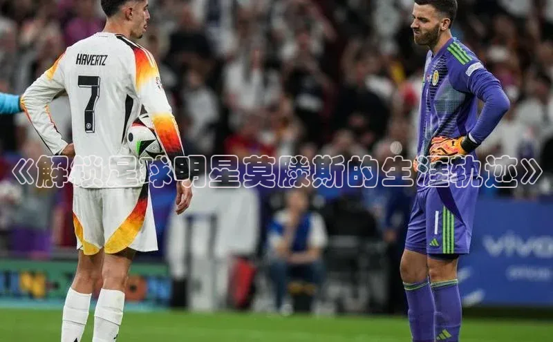 EON4官网百度识图