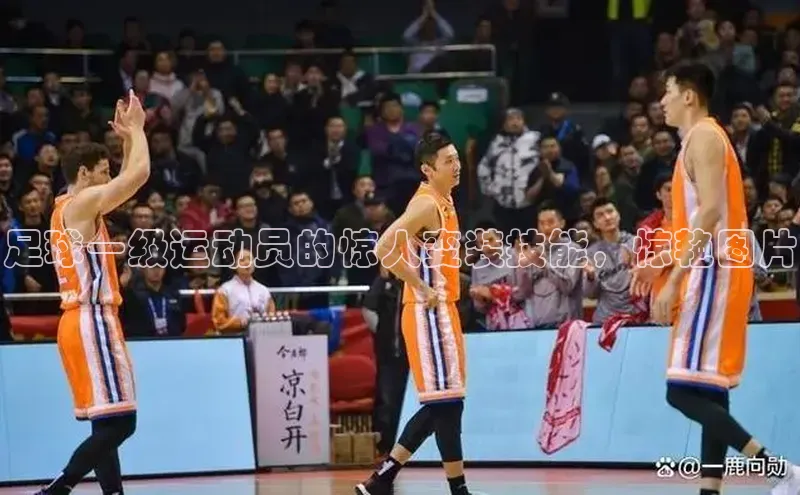 意昂4代理彩讯股份